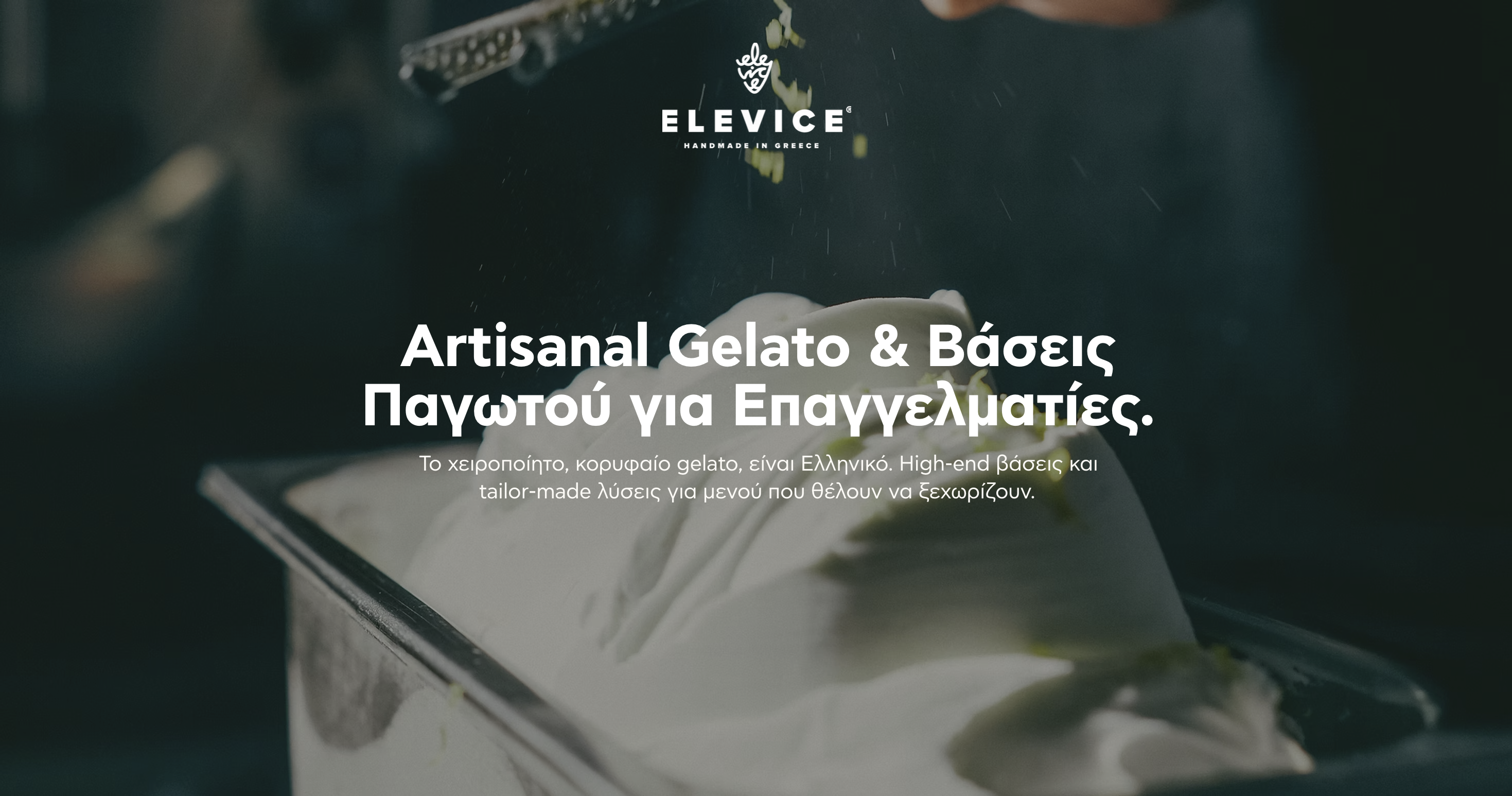 Elevice website screenshot 1